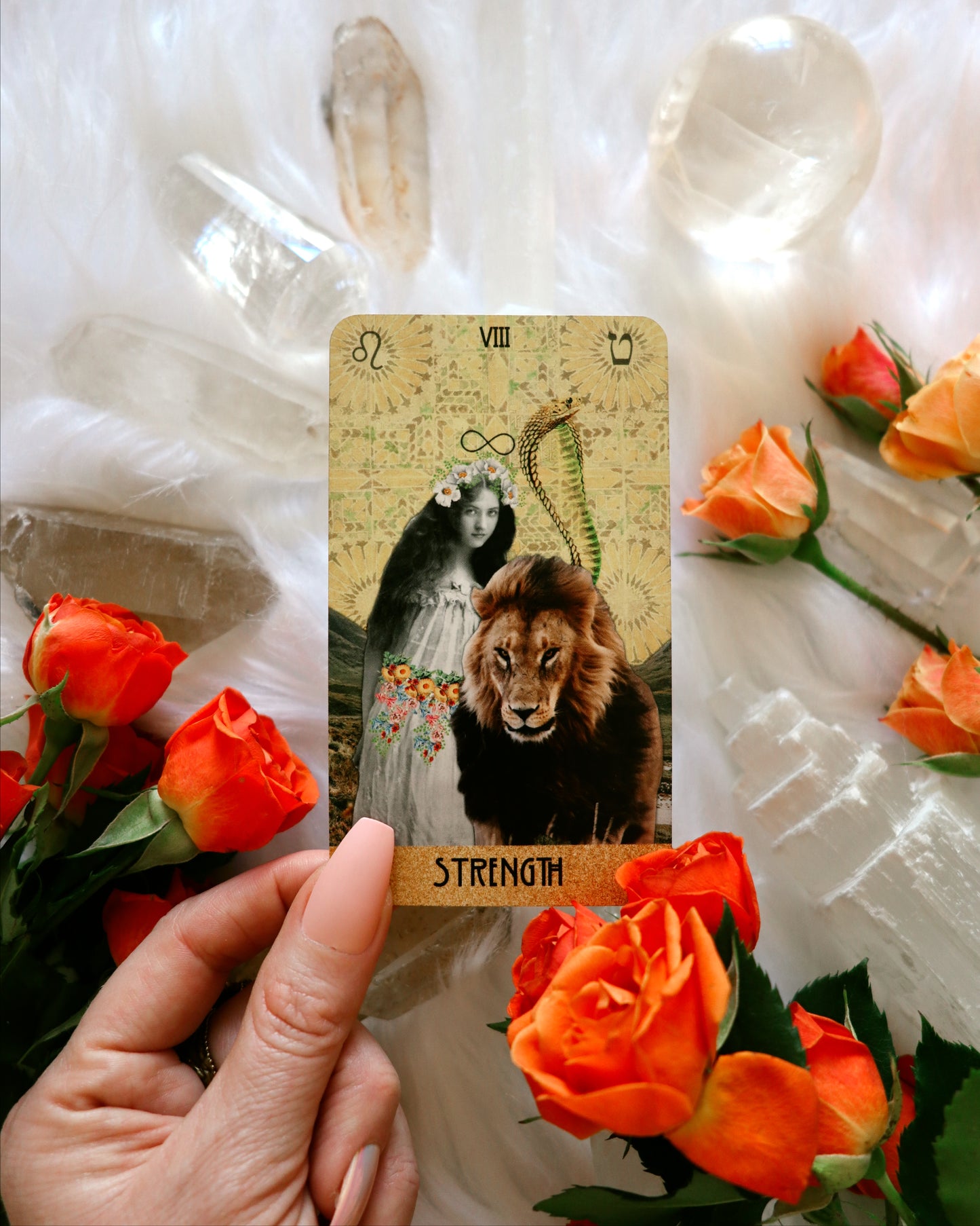 The Meta Muse Tarot Wholesale (10 Decks)